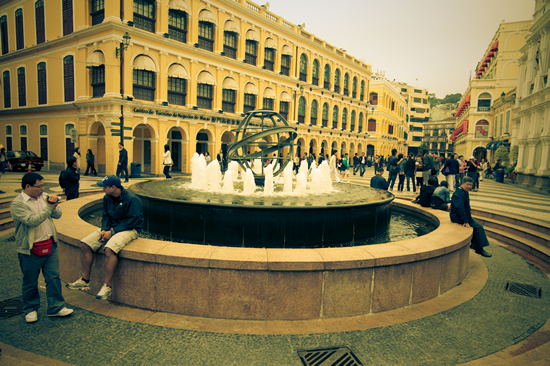 dsc_0700y